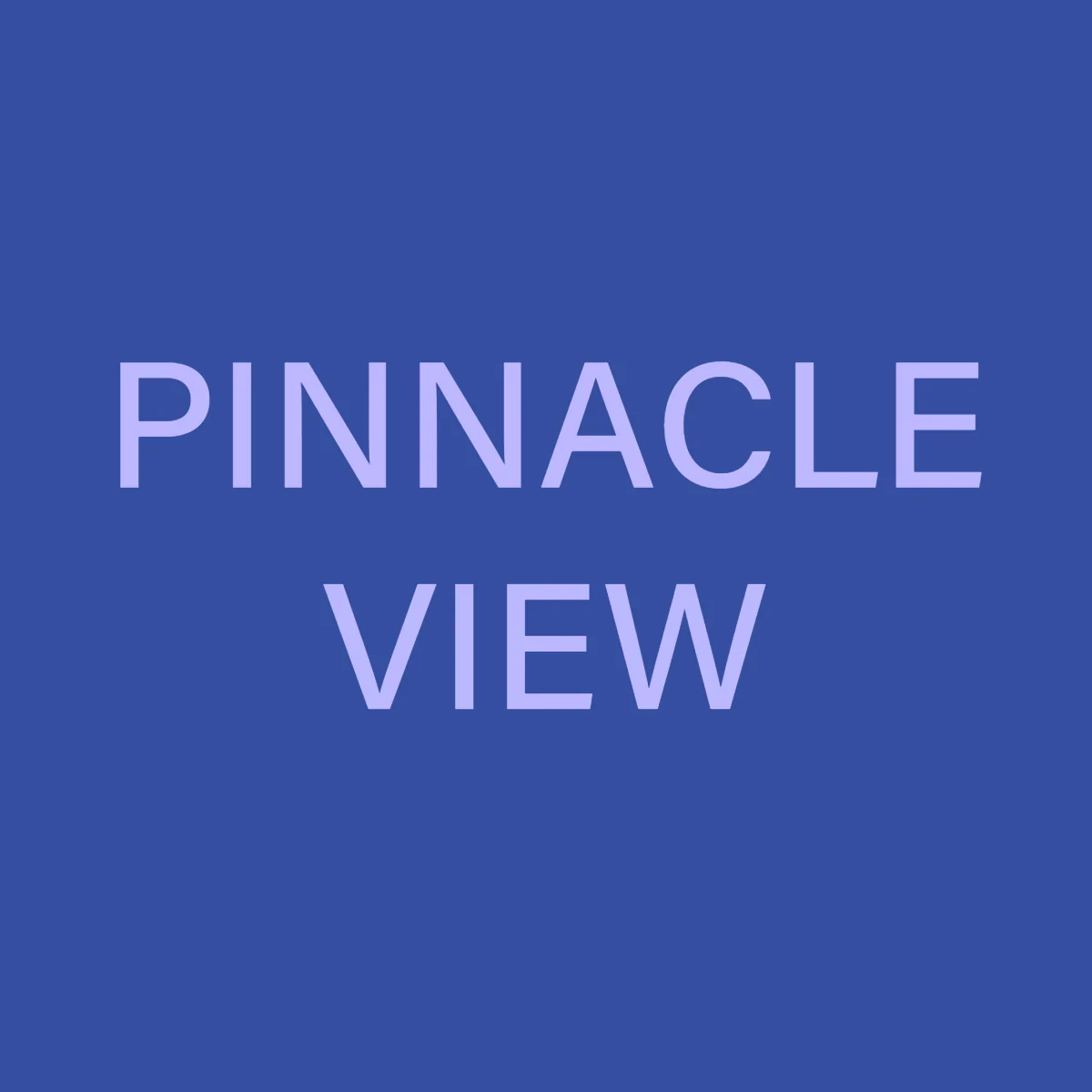 Pinnacle View Team