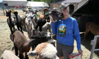 Tired of Crowded Campgrounds? Colorado Company Taps Businesses to Host RV Travelers Overnight