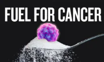 Scientists Discover How Sugar Suppresses Cancer-Fighting Genes