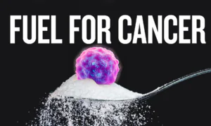 Scientists Discover How Sugar Suppresses Cancer-Fighting Genes