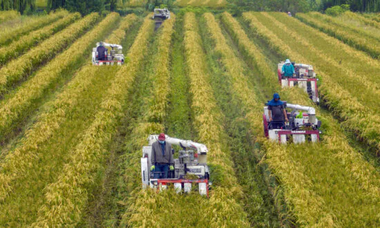 China’s Food Security Problem Returning