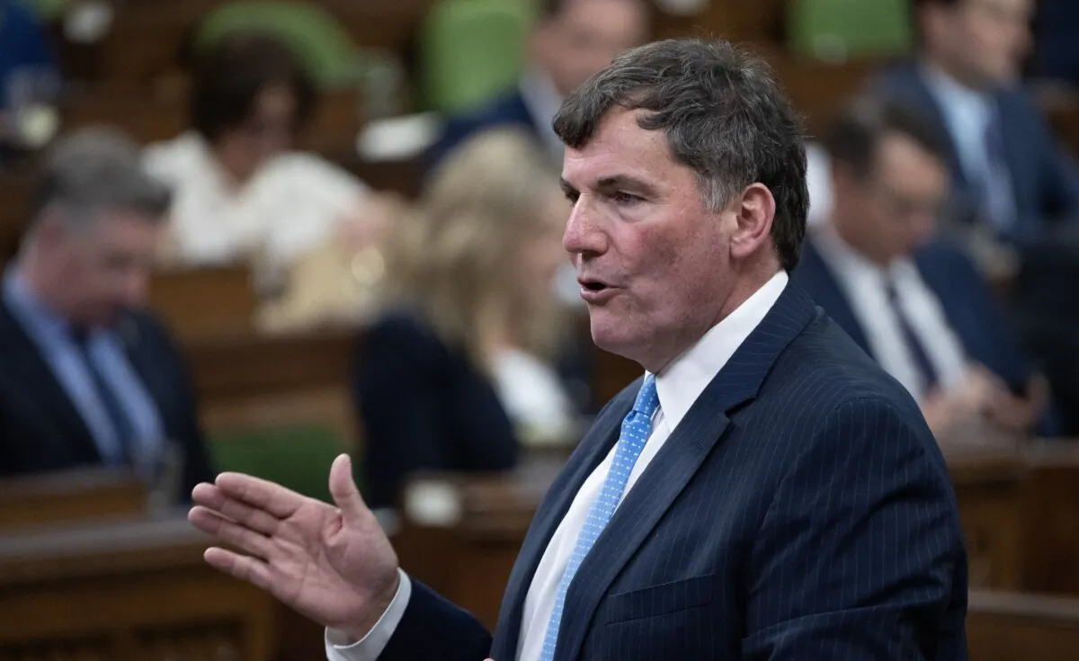 Minister of Public Safety, Democratic Institutions and Intergovernmental Affairs Dominic LeBlanc rises during question period, in Ottawa, on June 17, 2024. (The Canadian Press/Adrian Wyld)