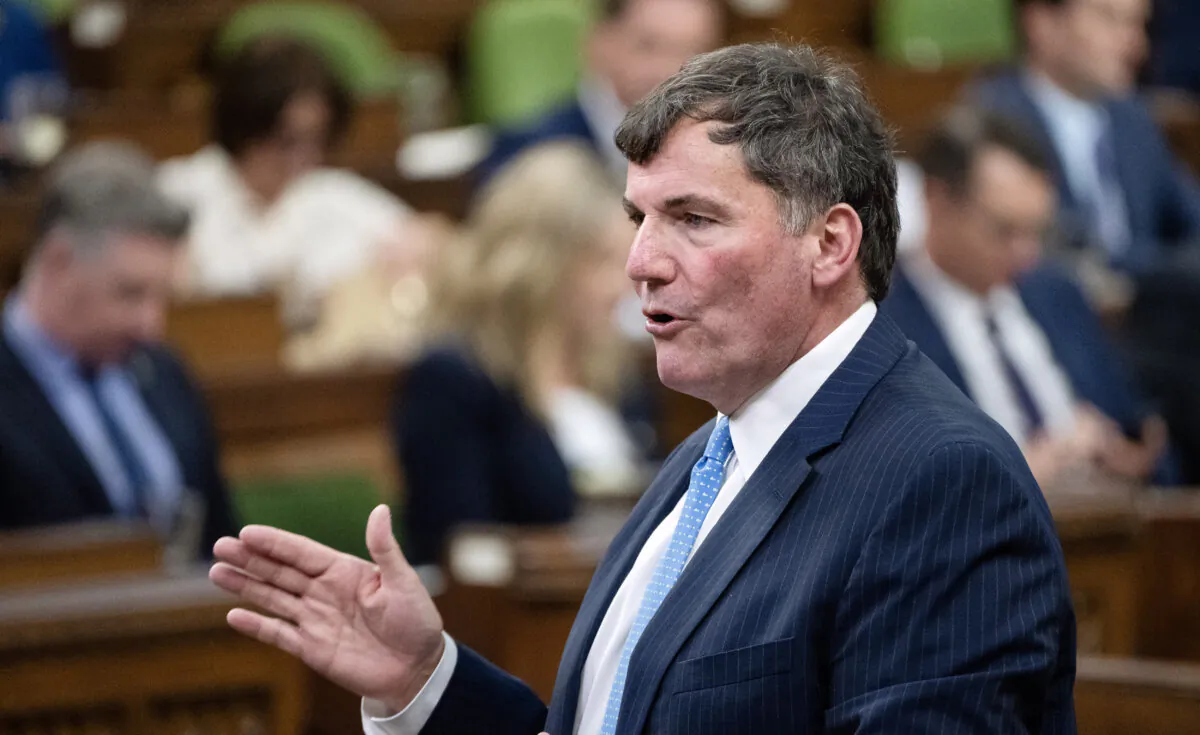Minister of Public Safety, Democratic Institutions and Intergovernmental Affairs Dominic LeBlanc rises during Question Period, in Ottawa, on June 17, 2024. (The Canadian Press/Adrian Wyld)