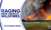 NTD Evening News Full Broadcast (June 19)