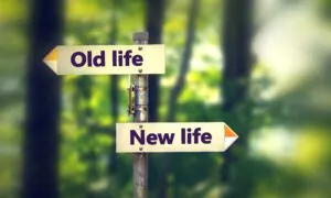 Successful Leadership Today: What to Do Now