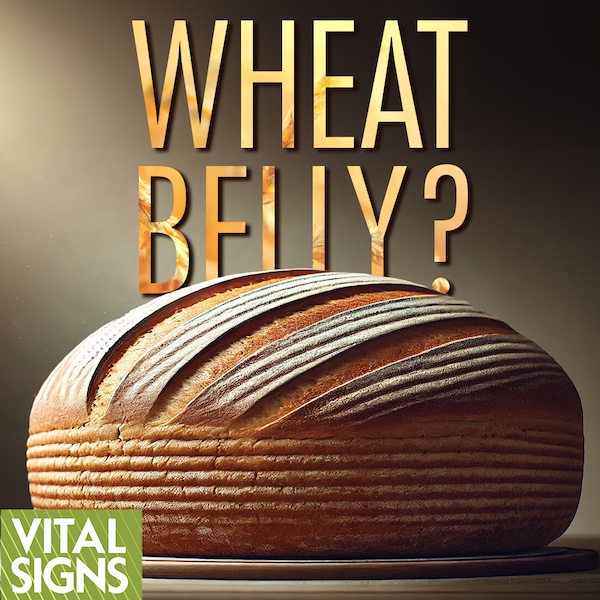 Do Wheats, Grains, and Sugars Bear a Higher Heart-Disease Risk Than Fats?