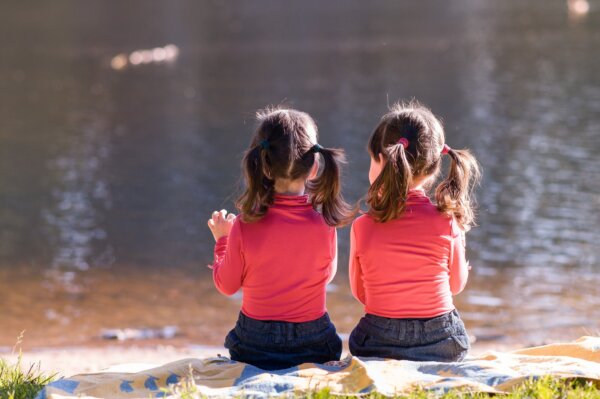 Autism Reversal in Twin Girls Through Lifestyle and Environmental Changes