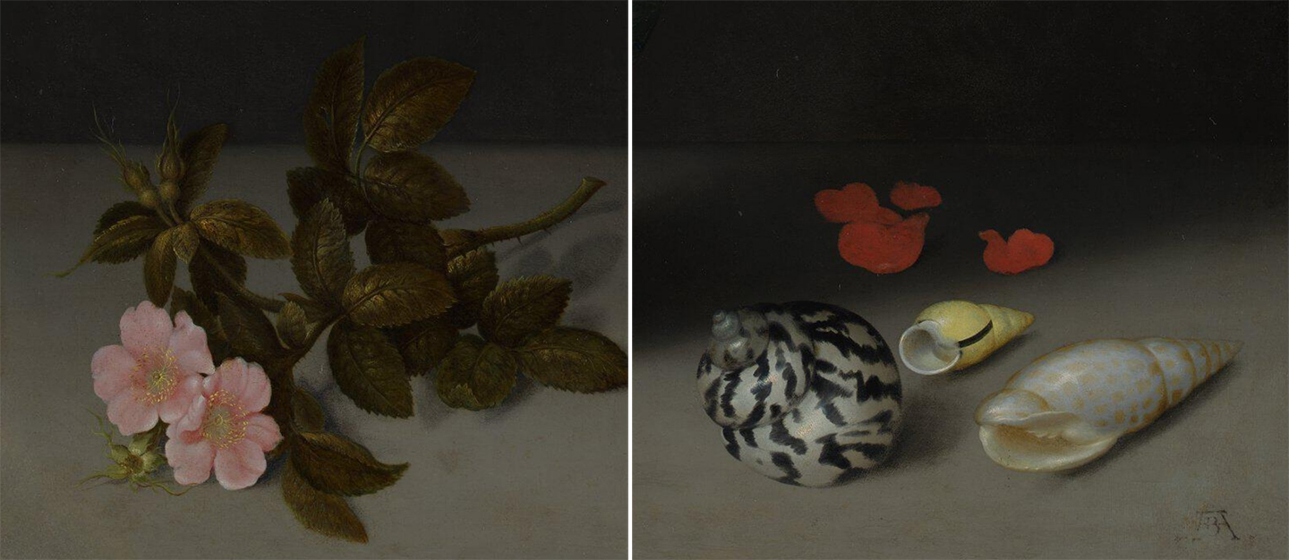 Apple Blossom And Shells