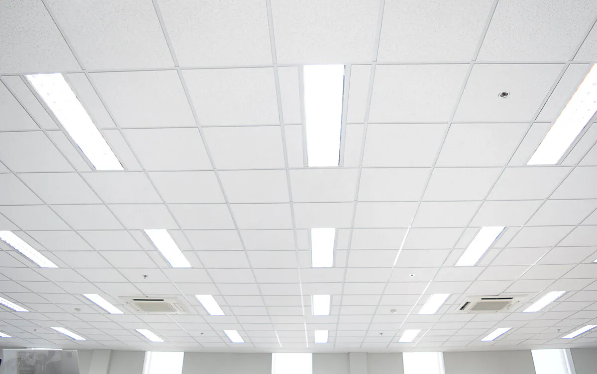 The federal government has announced a plan to ban the import and manufacture of fluorescent light bulbs beginning Dec. 31, 2025. (Shutterstock/Star Supawan)