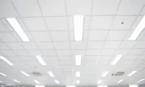Fluorescent Light Bulbs to Be Banned in Canada