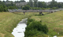 More Details Revealed in Death of 12-Year-Old Girl Whose Body Was Found in Creek