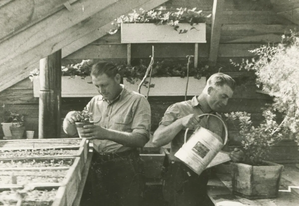 Several POWs worked in the greenhouse at Camp Aliceville in Alabama, tending to flowers and plants for their gardens. (Aliceville Museum)
