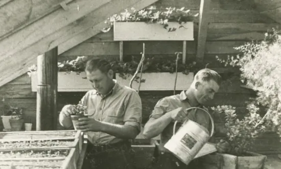 How the US Treated Prisoners of War With Dignity During World War II
