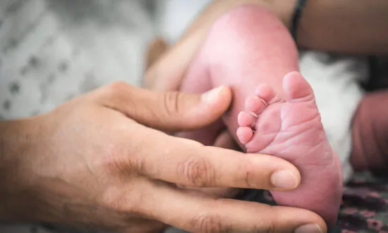 Counsellor Faces Tribunal for Opposing Male-to-Female Breastfeeding Claims