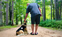 How Dogs Help People With PTSD