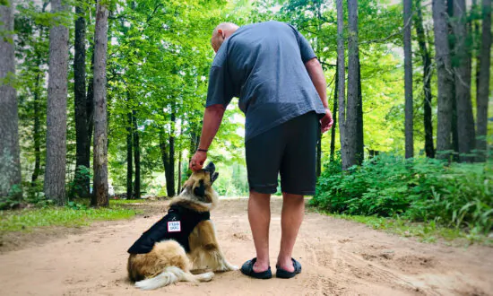 How Dogs Help People With PTSD