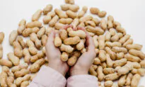 Peanuts for Babies? Early Introduction May Prevent Allergies Later: Study