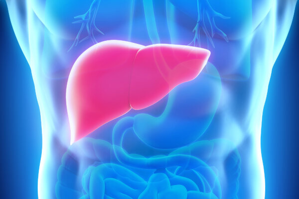Study: 17 Drugs Harmful to Liver 