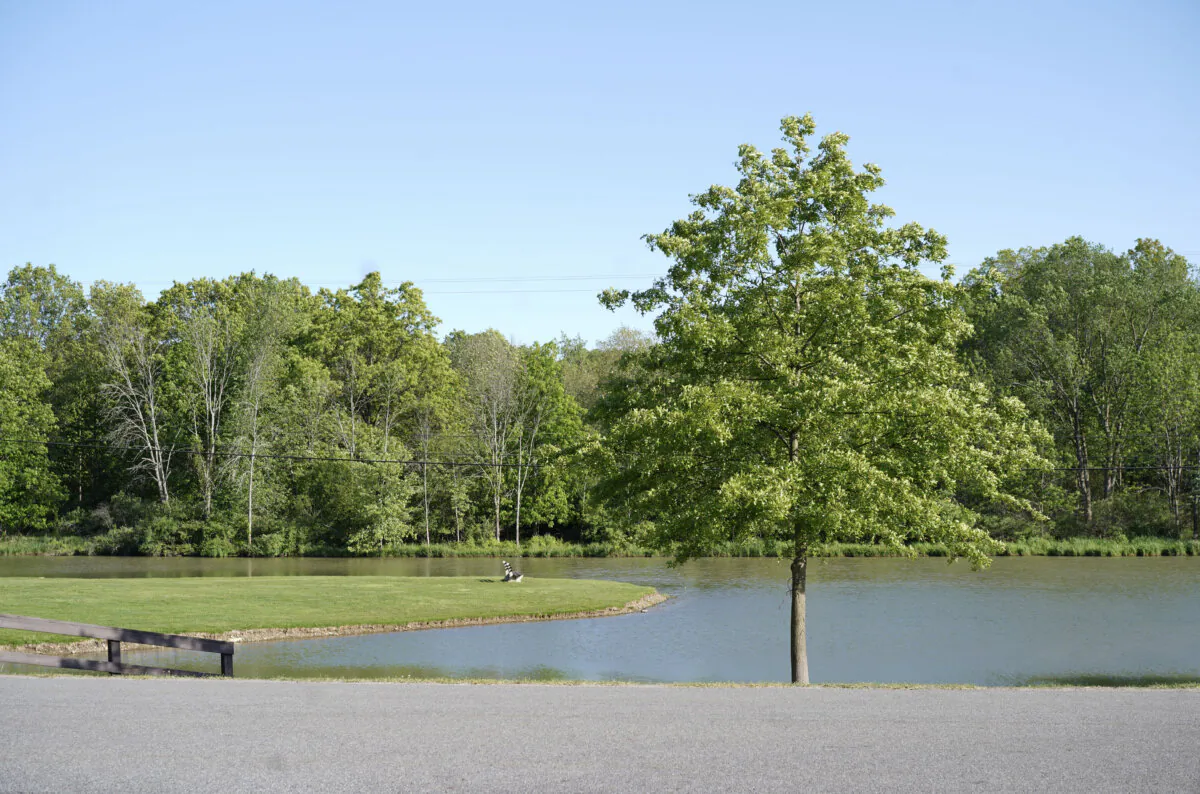 Thomas Bull Memorial Park in Montgomery, N.Y., on May 17, 2023. (Cara Ding/The Epoch Times)