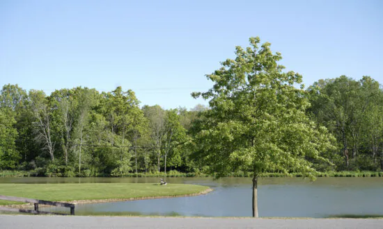 Orange County Mulls New Position to Promote Parks to Local Residents