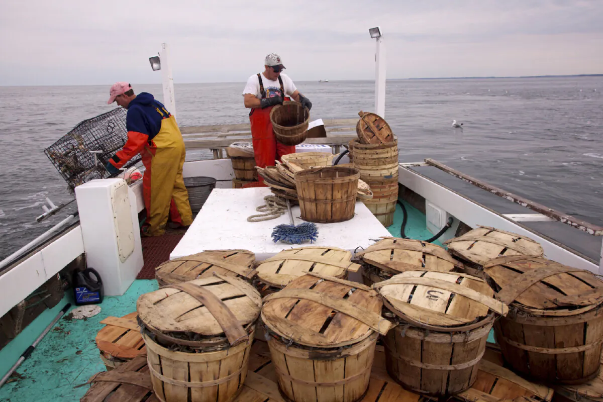 Watermen working on crabbing boats is a familiar scene in Talbot County, Maryland. (Photo courtesy of Alan Gignoux/Dreamstime)