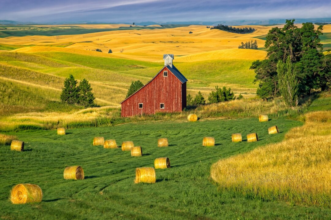Make Hay A Proverb of Prompting: ‘Make Hay While the Sun Shines’ | The Epoch Times