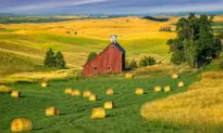 A Proverb of Prompting: ‘Make Hay While the Sun Shines’