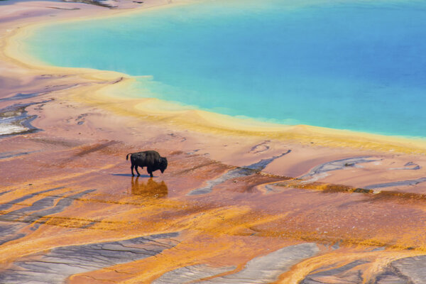 How to Visit Yellowstone