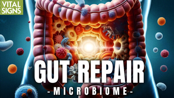Good Bacteria: Key to Gut Health
