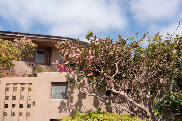 Plants and Roof of a House Covered by Pink Fire Retardant