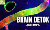 Can Alzheimer’s Brain Toxins Be Cleared by Core Nutrients, Deep Sleep, Qigong?