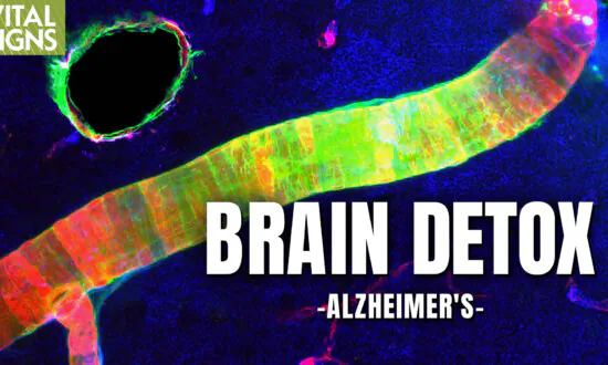 Can Alzheimer’s Brain Toxins Be Cleared by Core Nutrients, Deep Sleep, Qigong?