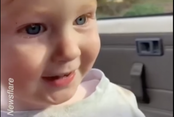 Toddler Declares His Undying Love for Baby Sister