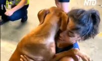 Dog Hugs and Doesn’t Let Go of Owner