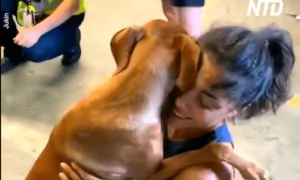 Dog Hugs and Doesn’t Let Go of Owner
