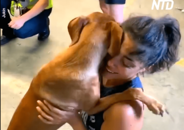 Dog Hugs and Doesn't Let Go of Owner