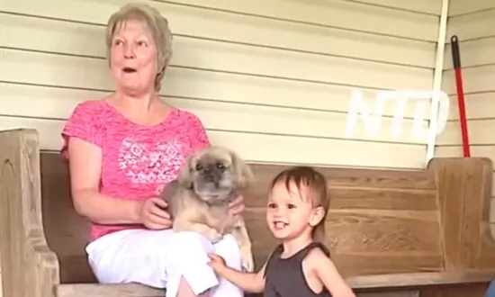 Toddler Excitedly Welcomes Dad Home on Her Adoption Day