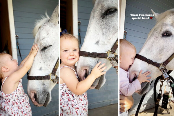 Little Girl Loves Gentle Horse Who Lets Her Snuggle Noses Every Time They Meet—And Its Adorable