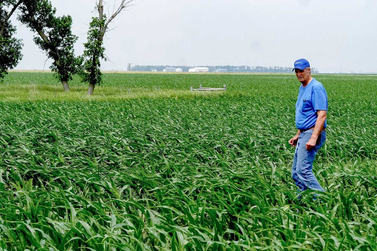 Fourth-generation South Dakota farmer Ed Fishbach is leading the charge against a five-state carbon capture pipeline proposal by Iowa-based Summit Carbon Solutions. (Allan Stein/The Epoch Times)