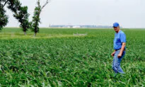 Iowa Utility Board Approves Eminent Domain for Controversial CO2 Pipeline