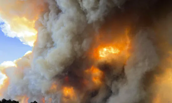 House Panel Advances Wildfire Bill Meant to Deter ‘Frivolous’ Lawsuits, Start Thinning