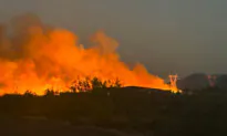 Arizona Deploys AI-Powered Cameras for Faster Wildfire Detection