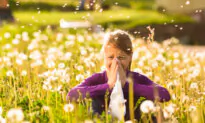 Nature’s Cure: 4 Natural Treatments for Allergy Relief