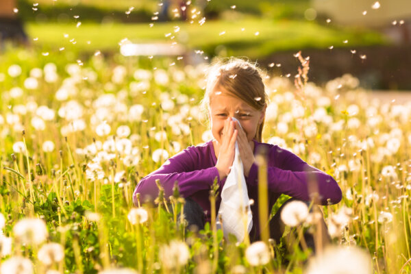 4 Natural Remedies for Allergies