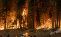 California Wildfires Mostly Manmade; Accidents Outweigh Arson, Authorities Say