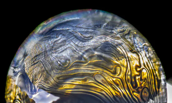 Stunning Photos Capture Bubble Magic in Antarctica