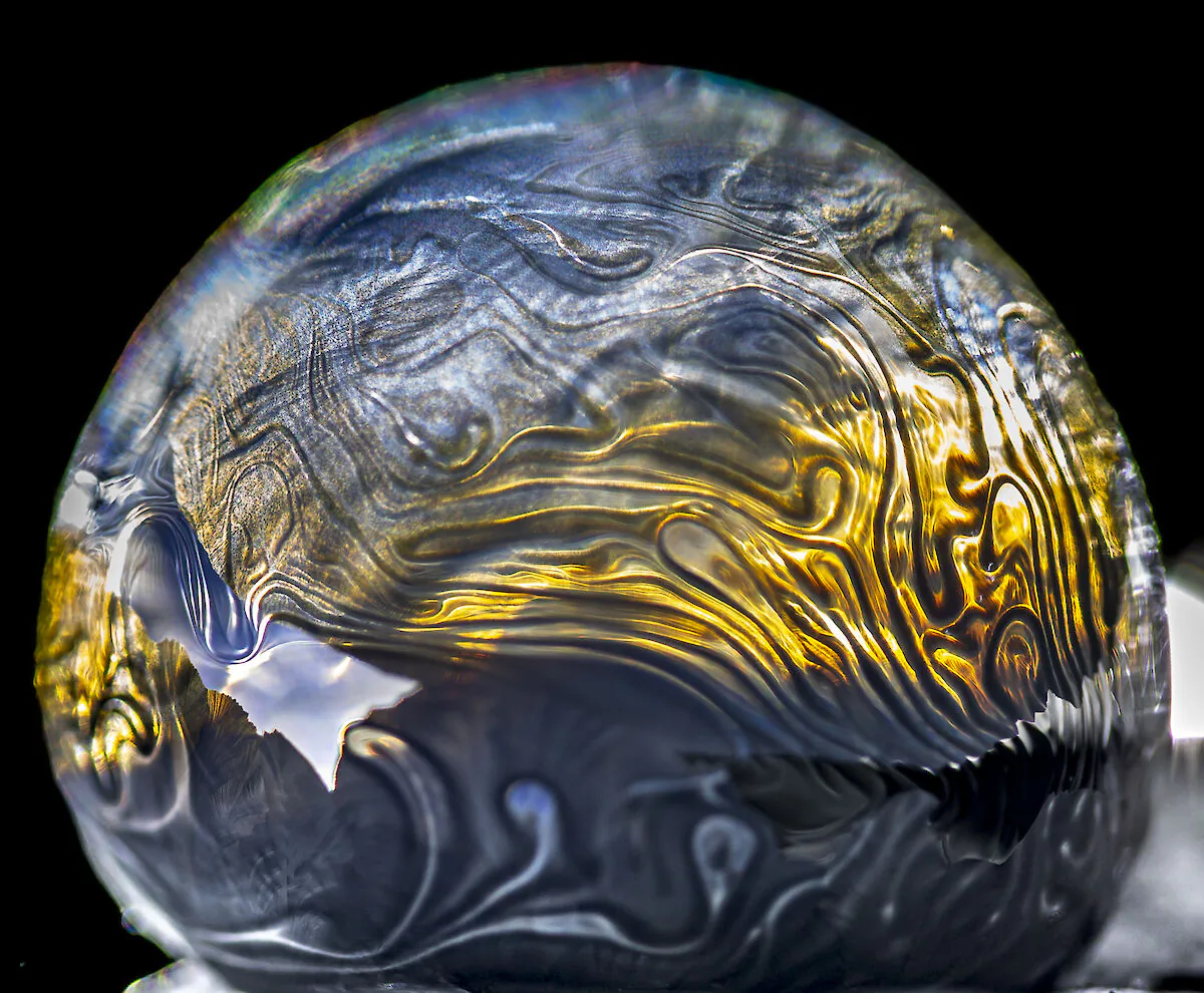 A beautiful bubble reminiscent of a fine artwork. Patterns on a frozen bubble look like a winter wonderland inside a snow globe. Photo: © Justin Chambers/Australian Antarctic Division