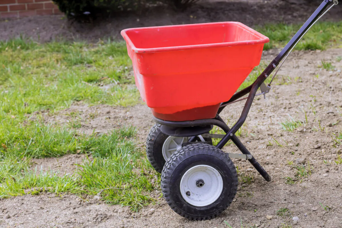 You can save a considerable amount of money seeing your lawn yourself. (Dreamstime/TNS)