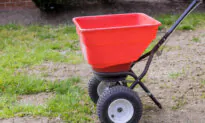 Seed a Lawn
