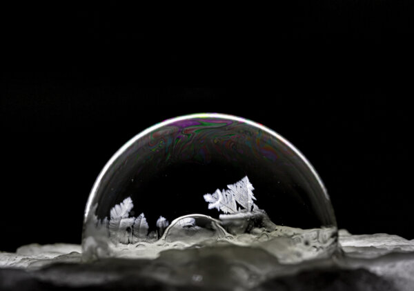 Epoch Times Photo